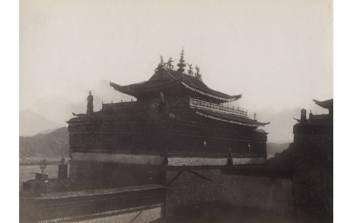 38-tashi-z.png