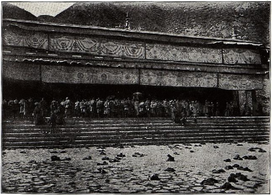 portik.png