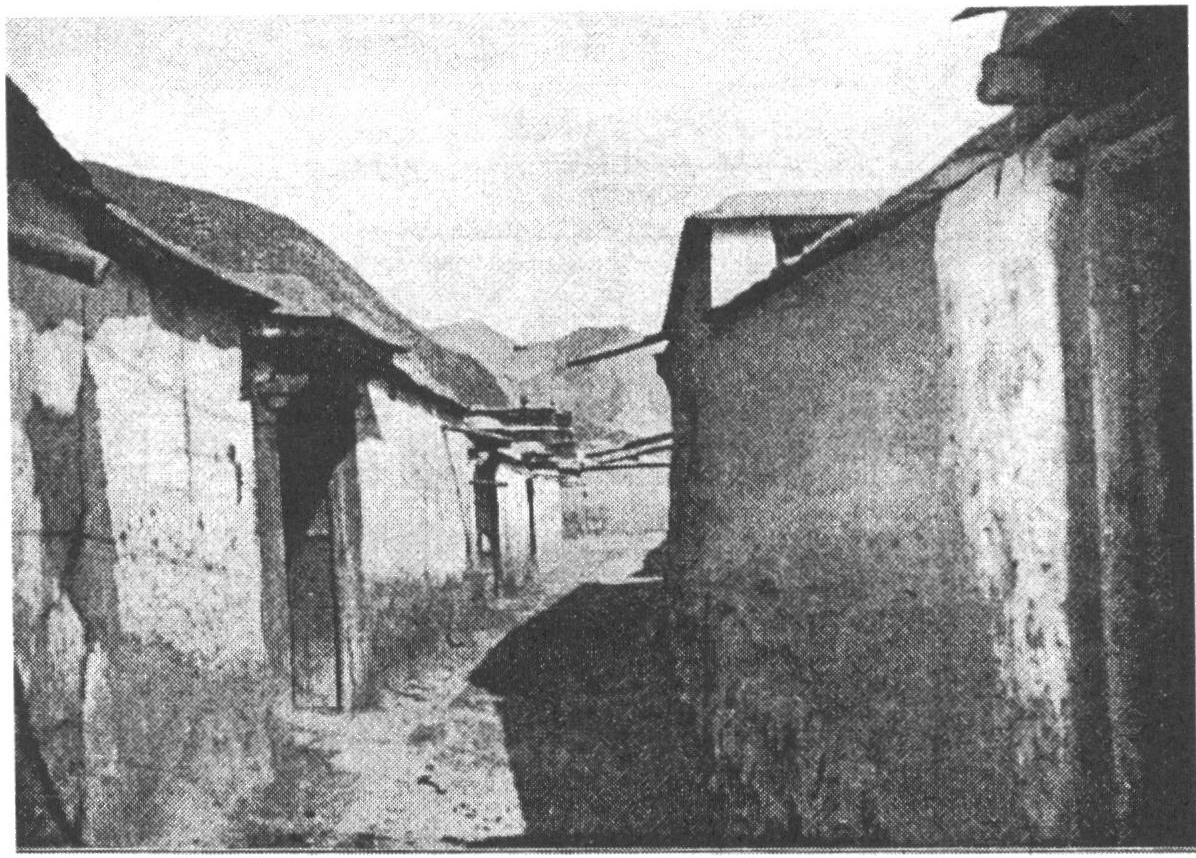 248-lavran-street.png
