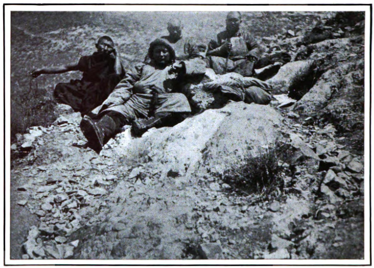 norzunov-group.png