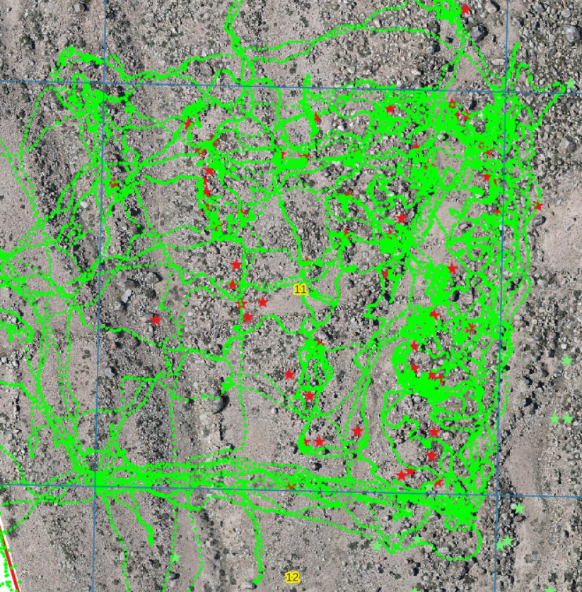 tracks.png