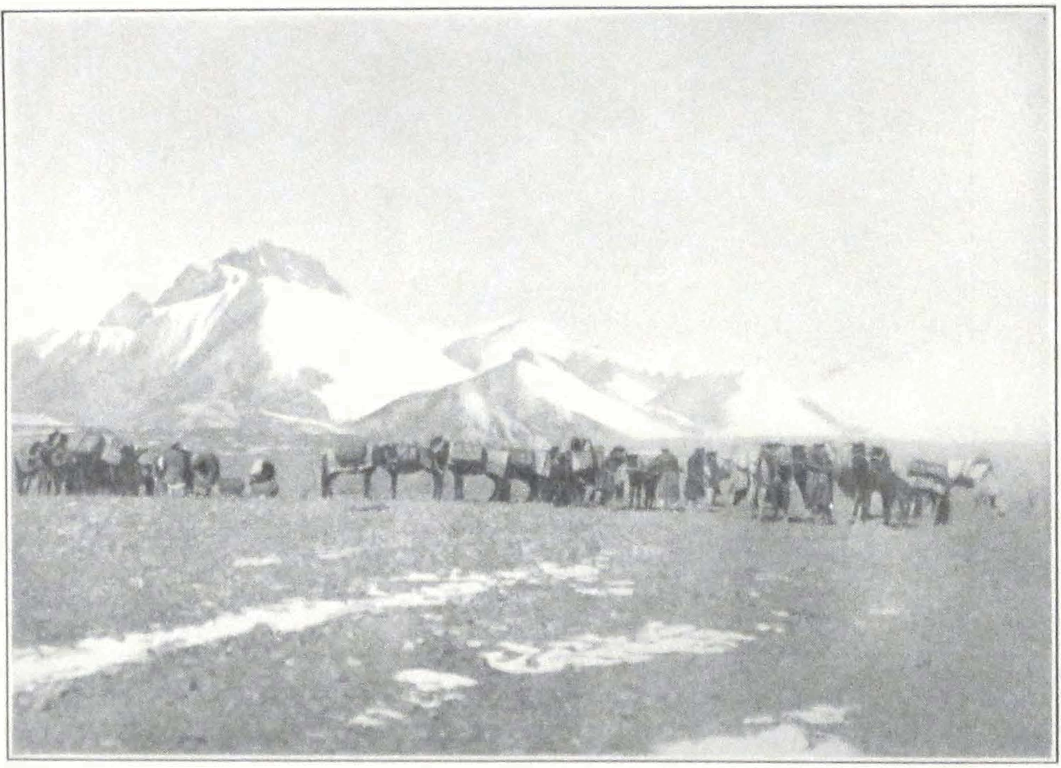 012-suget-pass.png