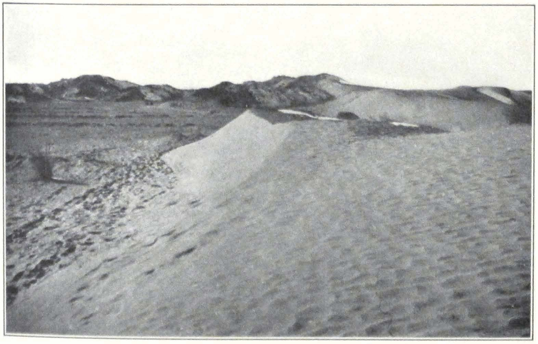 016-taklamakan.png