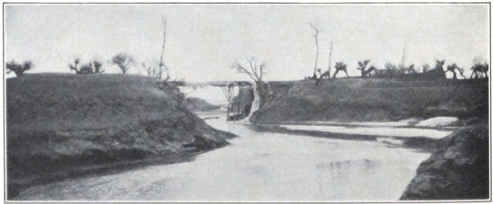 026-river-yangi.png