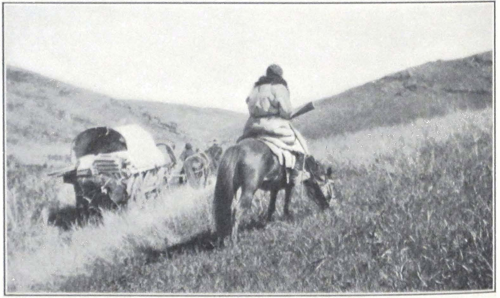 043-caravan-jungaria.png