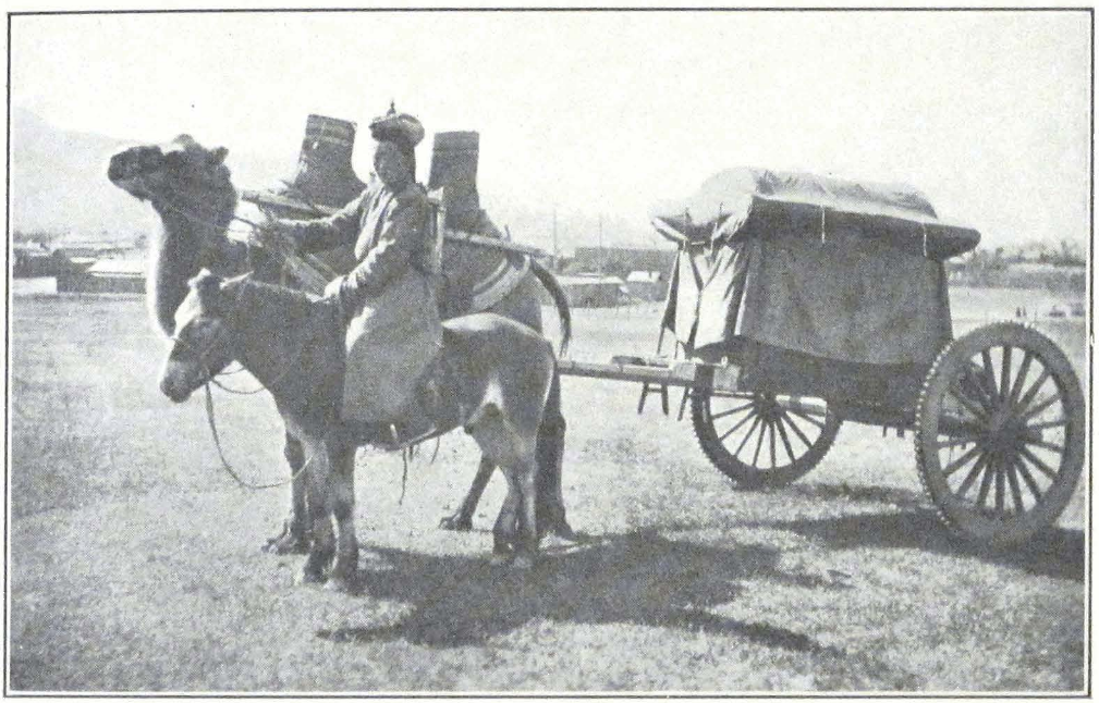 048-camel-carriage.png
