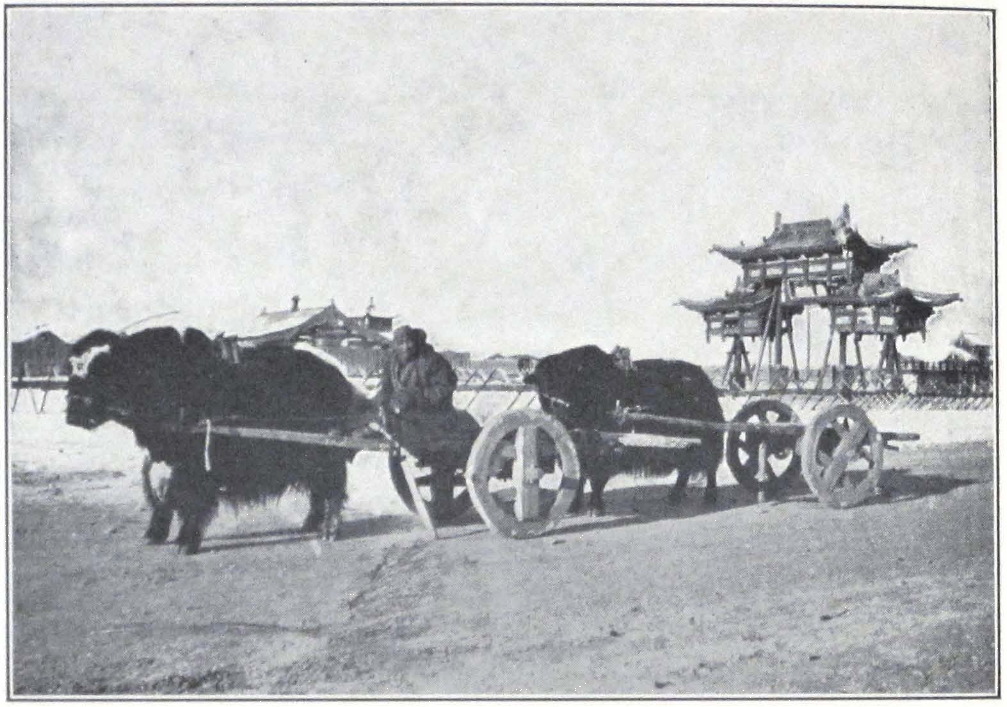 050-yak-carts.png