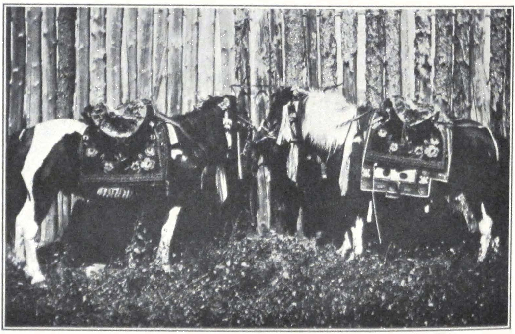 077-horses-procession.png