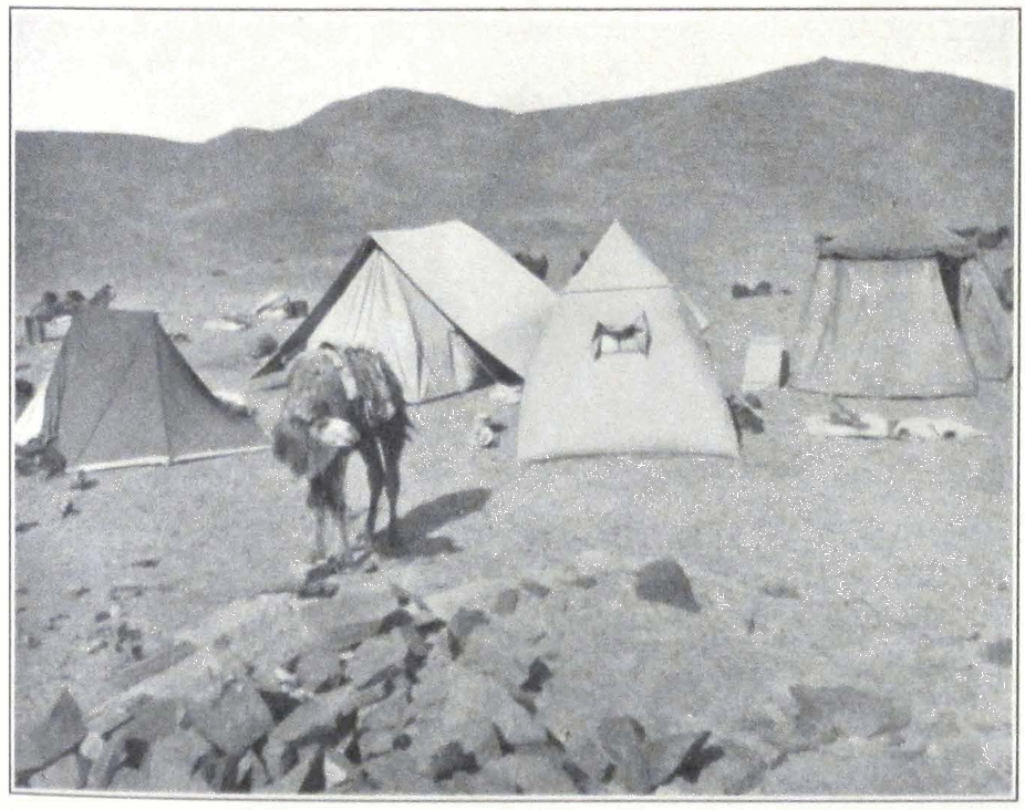 083-camp-gobi.png