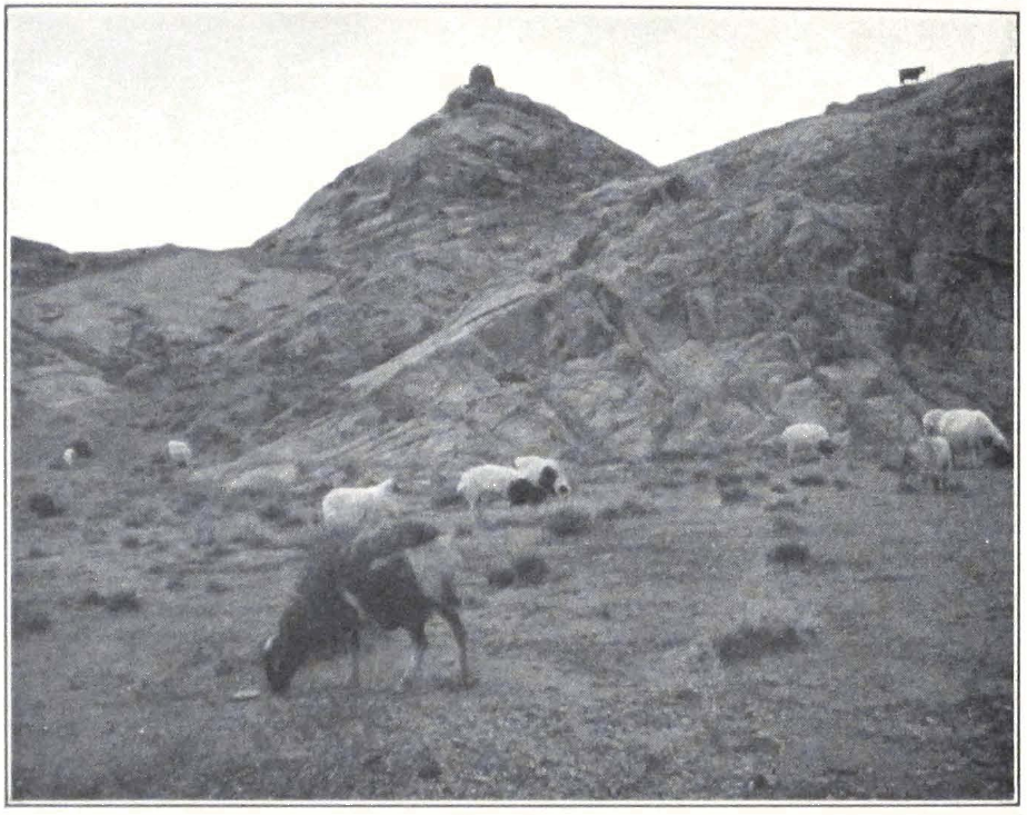 084-watchtower-gobi.png