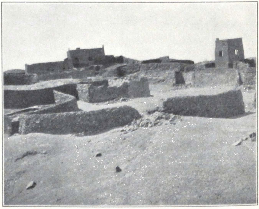 085-castle-ja-lama.png