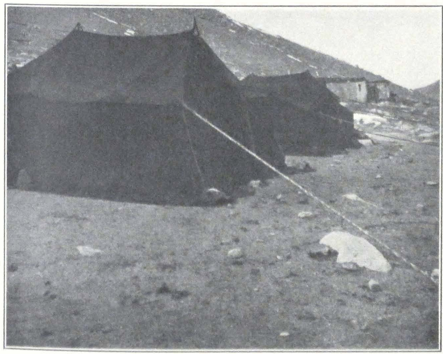 099-nomad-camp.png
