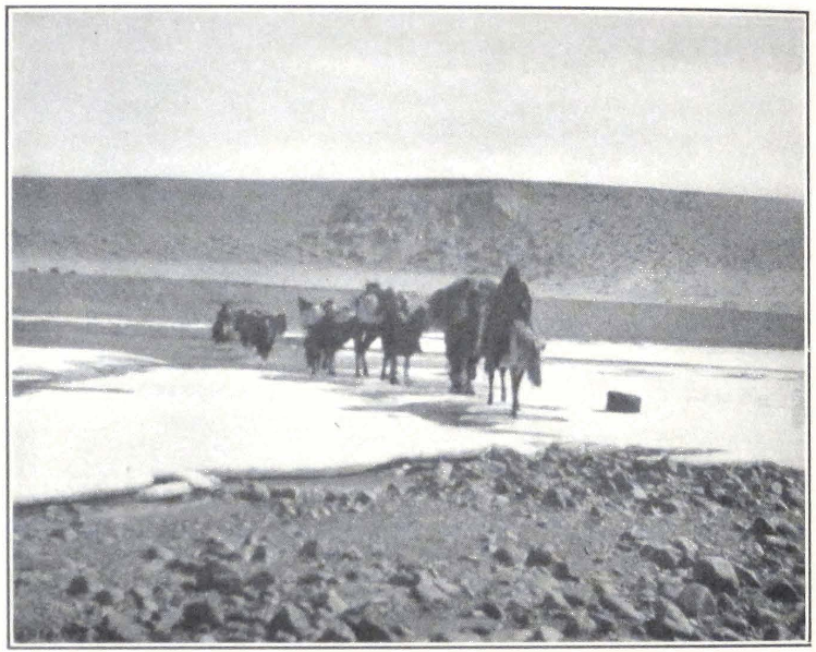 133-crossing-tarko.png