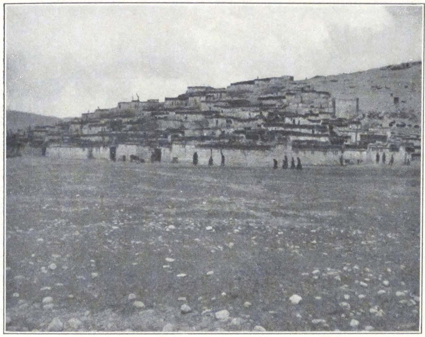 142-tingri.png