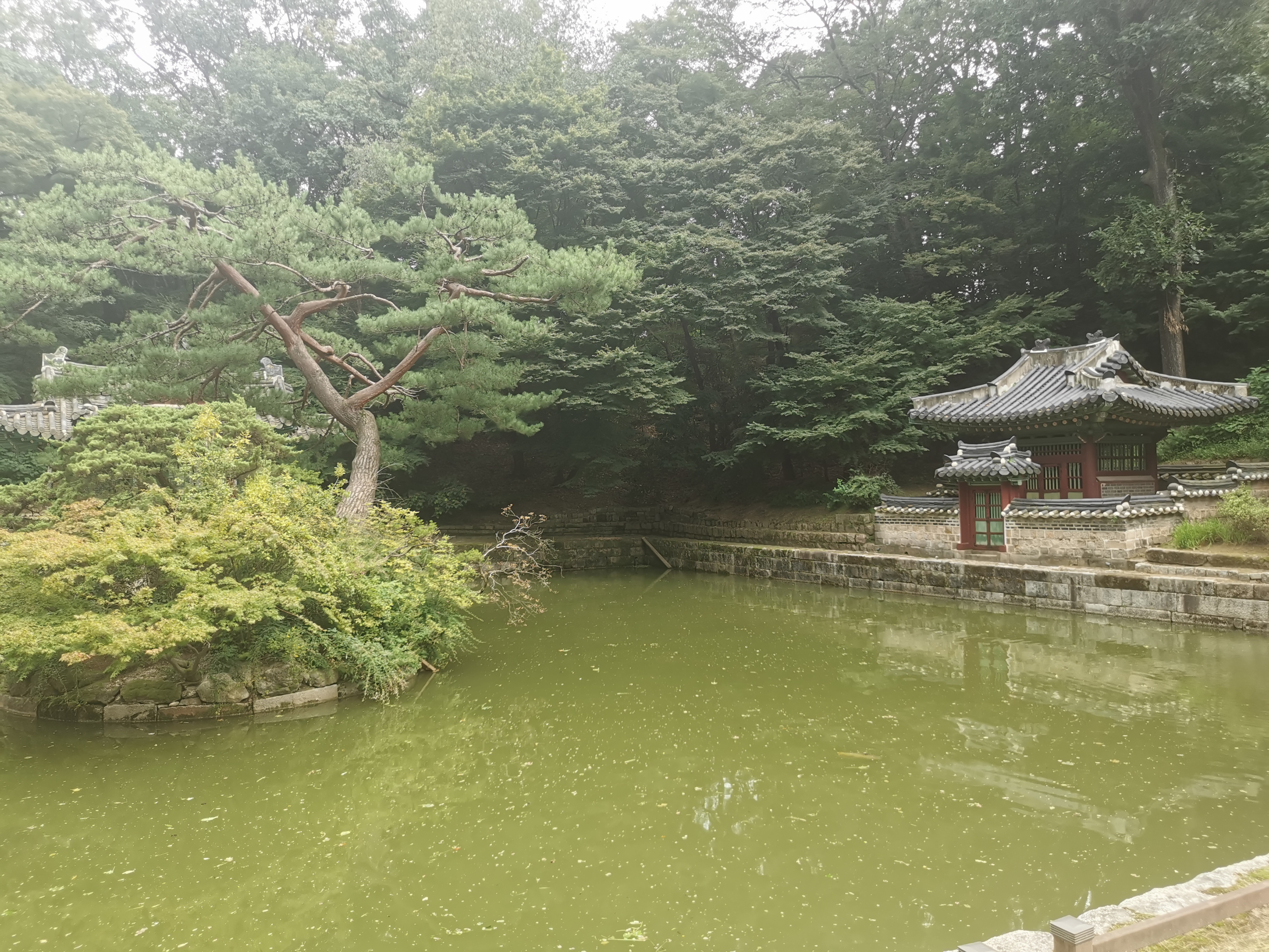 04_changdeokgung_20250829.jpg